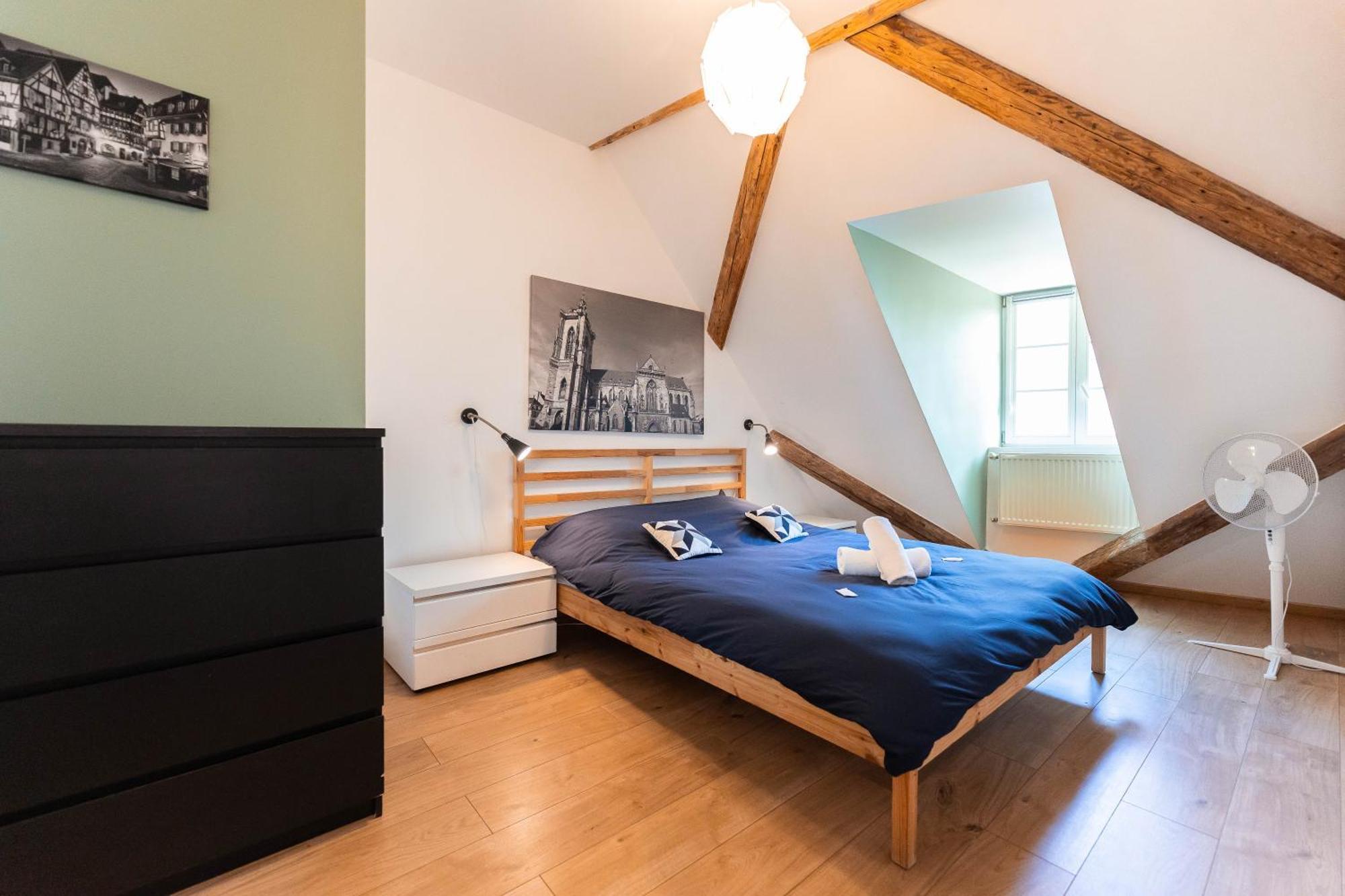 Apartment Historic Center - Belle Alsace 5 - 4 Etoiles *