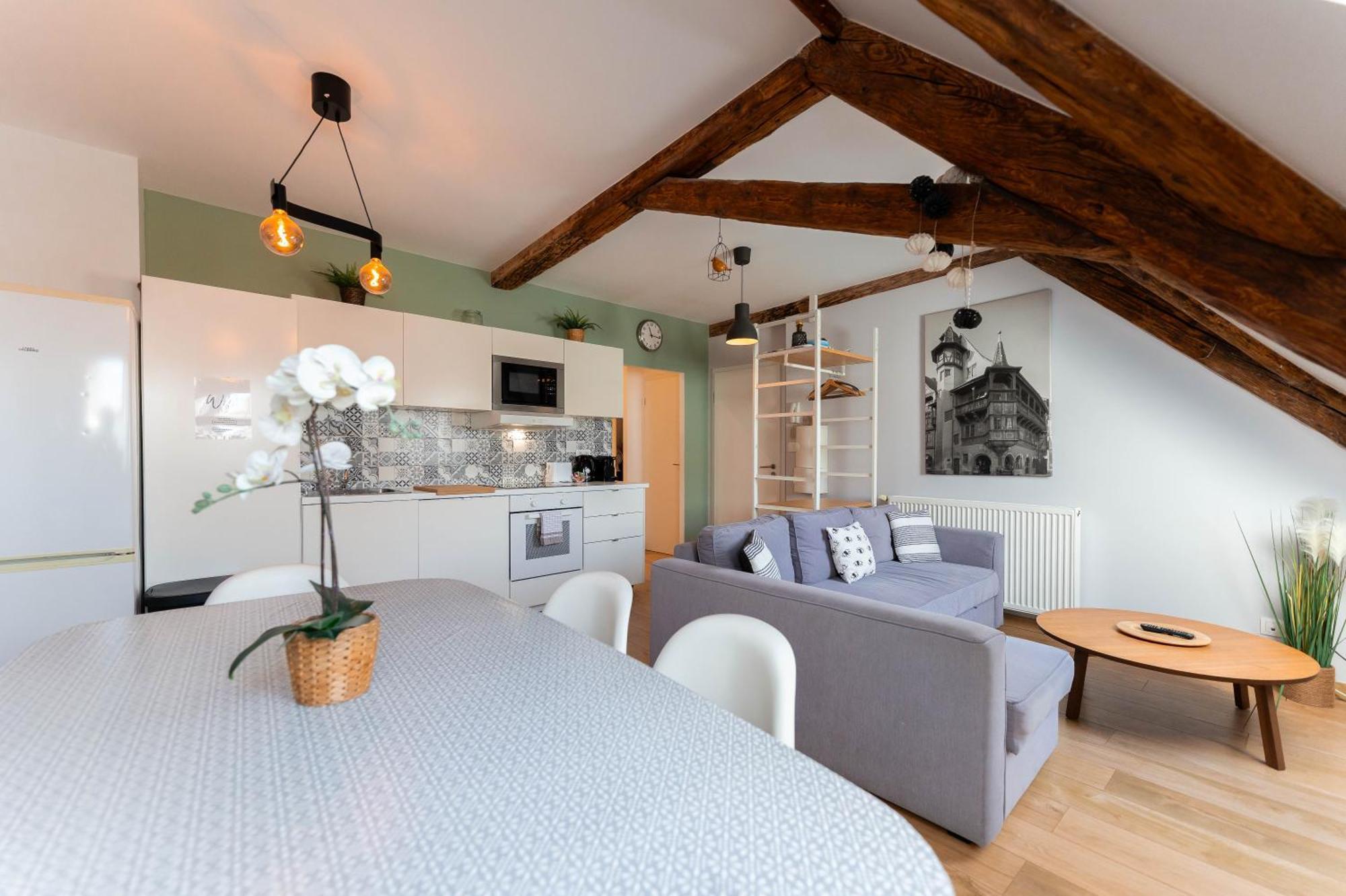 Apartment Historic Center - Belle Alsace 5 - 4 Etoiles